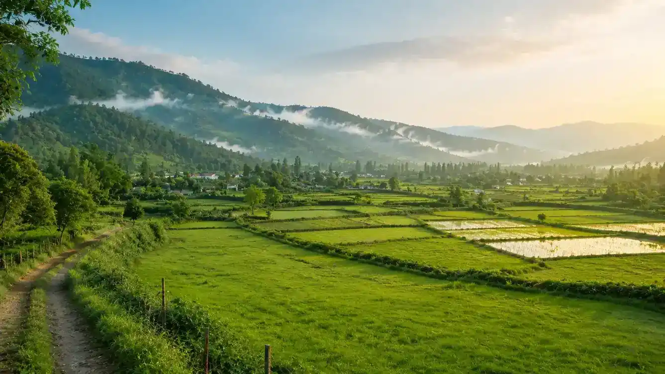 زمین
